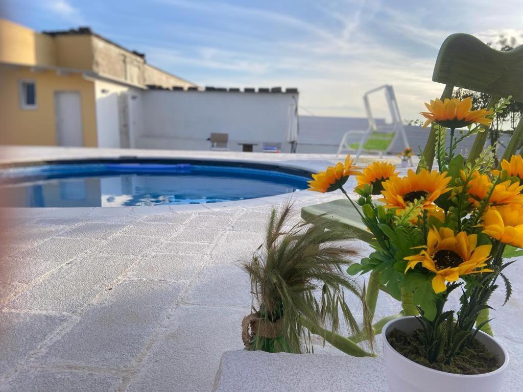 Casa Loredana Путиньяно Экстерьер фото